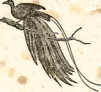 An illustration from The girl's own book (1833)