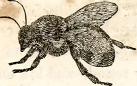 An illustration from The girl's own book (1833)