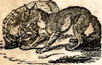 An illustration from The girl's own book (1833)