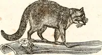 An illustration from The girl's own book (1833)