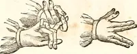 An illustration from The girl's own book (1833)