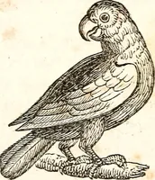 An illustration from The girl's own book (1833)