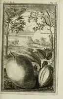 An illustration from Giro del mondo del dottor d. Gio. Francesco Gemelli Careri (1699)