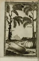 Picture 12 of 16 from Giro del mondo del dottor d. Gio. Francesco Gemelli Careri (1699), leaf 160