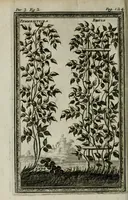Picture 14 of 16 from Giro del mondo del dottor d. Gio. Francesco Gemelli Careri (1699), leaf 168