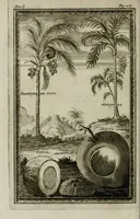 An illustration from Giro del mondo del dottor d. Gio. Francesco Gemelli Careri (1699)
