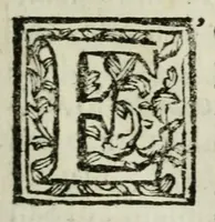 Picture 5 of 11 from Giro del mondo del dottor d. Gio. Francesco Gemelli Careri (1699), leaf 23