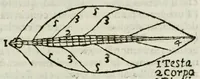 Picture 5 of 7 from Giro del mondo del dottor d. Gio. Francesco Gemelli Careri (1699), leaf 195