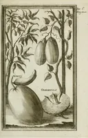 An illustration from Giro del mondo del dottor d. Gio. Francesco Gemelli Careri (1699)