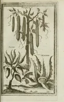 An illustration from Giro del mondo del dottor d. Gio. Francesco Gemelli Careri (1699)