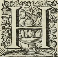 Picture 4 of 57 from Gisb. Cuperi Harpocrates, sive, Explicatio imagunculae argenteae perantiquae, quae in figuram Harpocratis formata representat solem : ejusdem Monumenta antiqua inedita ... ; accedit Stephani Le Moine Epistola de Melanophoris (1687), leaf 12