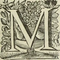 An illustration from Gisb. Cuperi Harpocrates, sive, Explicatio imagunculae argenteae perantiquae, quae in figuram Harpocratis formata representat solem : ejusdem Monumenta antiqua inedita ... ; accedit Stephani Le Moine Epistola de Melanophoris (1687)