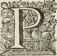 Picture 55 of 57 from Gisb. Cuperi Harpocrates, sive, Explicatio imagunculae argenteae perantiquae, quae in figuram Harpocratis formata representat solem : ejusdem Monumenta antiqua inedita ... ; accedit Stephani Le Moine Epistola de Melanophoris (1687), leaf 278