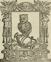 An illustration from Givnta fatta al ragionamento degli articoli et de verbi di Messer Pietro Bembo .. (1563)