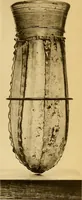 An illustration from Glass (1907)