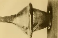 An illustration from Glass (1907)