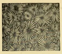 An illustration from Glass, paints, oils and painters' sundries : Pittsburgh Plate Glass Company. (1901)