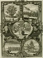 Picture 41 of 80 from Güldene Aepfel in silbernen Schalen, das ist, Worte geredet zu seiner Zeit über 400 Sinnbilder von allerley Zeiten und Umständen des menschlichen Lebens zu Beförderung der Erbauung (1746), leaf 113