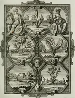 An illustration from Güldene Aepfel in silbernen Schalen, das ist, Worte geredet zu seiner Zeit über 400 Sinnbilder von allerley Zeiten und Umständen des menschlichen Lebens zu Beförderung der Erbauung (1746)