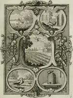 Picture 30 of 80 from Güldene Aepfel in silbernen Schalen, das ist, Worte geredet zu seiner Zeit über 400 Sinnbilder von allerley Zeiten und Umständen des menschlichen Lebens zu Beförderung der Erbauung (1746), leaf 80