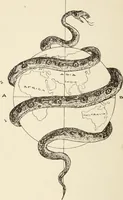 An illustration from Gleams of light and glimpses thro' the rift (1893)