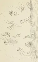 An illustration from Gleams of light and glimpses thro' the rift (1893)