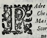 An illustration from Gli amorosi affanni : favola pastorale (1606)