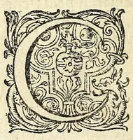 An illustration from Gli amorosi inganni : comedia piacevole (1609)
