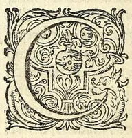 An illustration from Gli amorosi inganni : comedia piacevole (1609)