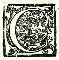 An illustration from Gli amorosi sospetti : favola pastorale (1605)