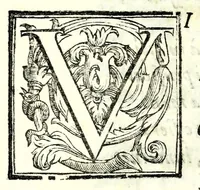 An illustration from Gli amorosi sospetti : favola pastorale (1605)