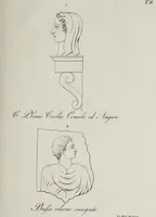 An illustration from Gli antichi marmi Gomensi figurati e letterati (1834)