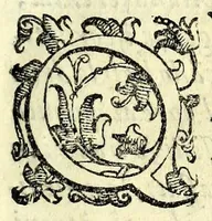 An illustration from Gli antivalomeni : tragedia (1583)