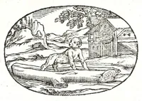 Picture 41 of 64 from Gli apologi del signor Giulio Cesare Capaccio, gentil'huomo del serenissimo signor duca d'Vrbino; con le Dicerie morali, oue quasi con viui colori al modo cortegiano l'humana vita si dipinge, la malignità si scopre, la bizzarria de' ceruelli si castiga, la frode si scaccia, la mattezza si punisce, al poco saper di gli huomini si prouede, e di tutti i ciuili costumi si fà paragone (1619), leaf 115