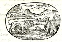 Picture 61 of 64 from Gli apologi del signor Giulio Cesare Capaccio, gentil'huomo del serenissimo signor duca d'Vrbino; con le Dicerie morali, oue quasi con viui colori al modo cortegiano l'humana vita si dipinge, la malignità si scopre, la bizzarria de' ceruelli si castiga, la frode si scaccia, la mattezza si punisce, al poco saper di gli huomini si prouede, e di tutti i ciuili costumi si fà paragone (1619), leaf 161