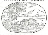 Picture 7 of 64 from Gli apologi del signor Giulio Cesare Capaccio, gentil'huomo del serenissimo signor duca d'Vrbino; con le Dicerie morali, oue quasi con viui colori al modo cortegiano l'humana vita si dipinge, la malignità si scopre, la bizzarria de' ceruelli si castiga, la frode si scaccia, la mattezza si punisce, al poco saper di gli huomini si prouede, e di tutti i ciuili costumi si fà paragone (1619), leaf 29