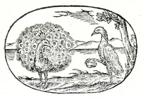 An illustration from Gli apologi del signor Giulio Cesare Capaccio, gentil'huomo del serenissimo signor duca d'Vrbino; con le Dicerie morali, oue quasi con viui colori al modo cortegiano l'humana vita si dipinge, la malignità si scopre, la bizzarria de' ceruelli si castiga, la frode si scaccia, la mattezza si punisce, al poco saper di gli huomini si prouede, e di tutti i ciuili costumi si fà paragone (1619)