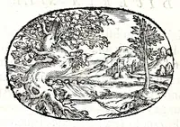 Picture 16 of 64 from Gli apologi del signor Giulio Cesare Capaccio, gentil'huomo del serenissimo signor duca d'Vrbino; con le Dicerie morali, oue quasi con viui colori al modo cortegiano l'humana vita si dipinge, la malignità si scopre, la bizzarria de' ceruelli si castiga, la frode si scaccia, la mattezza si punisce, al poco saper di gli huomini si prouede, e di tutti i ciuili costumi si fà paragone (1619), leaf 52
