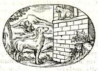 Picture 32 of 64 from Gli apologi del signor Giulio Cesare Capaccio, gentil'huomo del serenissimo signor duca d'Vrbino; con le Dicerie morali, oue quasi con viui colori al modo cortegiano l'humana vita si dipinge, la malignità si scopre, la bizzarria de' ceruelli si castiga, la frode si scaccia, la mattezza si punisce, al poco saper di gli huomini si prouede, e di tutti i ciuili costumi si fà paragone (1619), leaf 93