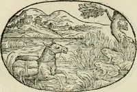 Picture 89 of 153 from Gli apologi di Giulio Cesare Capaccio, secretario della fedelissima città di Napoli : con le Dicerie morali (1607), leaf 113
