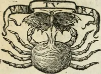Picture 100 of 153 from Gli apologi di Giulio Cesare Capaccio, secretario della fedelissima città di Napoli : con le Dicerie morali (1607), leaf 124