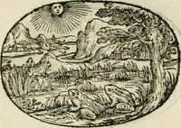 An illustration from Gli apologi di Giulio Cesare Capaccio, secretario della fedelissima città di Napoli : con le Dicerie morali (1607)