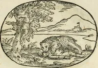 An illustration from Gli apologi di Giulio Cesare Capaccio, secretario della fedelissima città di Napoli : con le Dicerie morali (1607)