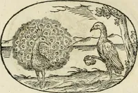 An illustration from Gli apologi di Giulio Cesare Capaccio, secretario della fedelissima città di Napoli : con le Dicerie morali (1607)