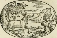 An illustration from Gli apologi di Giulio Cesare Capaccio, secretario della fedelissima città di Napoli : con le Dicerie morali (1607)