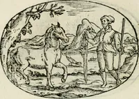 Picture 42 of 153 from Gli apologi di Giulio Cesare Capaccio, secretario della fedelissima città di Napoli : con le Dicerie morali (1607), leaf 65
