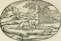 An illustration from Gli apologi di Giulio Cesare Capaccio, secretario della fedelissima città di Napoli : con le Dicerie morali (1607)