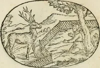 An illustration from Gli apologi di Giulio Cesare Capaccio, secretario della fedelissima città di Napoli : con le Dicerie morali (1607)