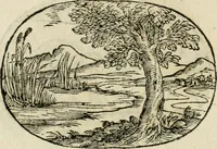 An illustration from Gli apologi di Giulio Cesare Capaccio, secretario della fedelissima città di Napoli : con le Dicerie morali (1607)