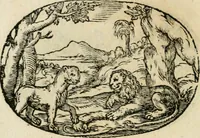 An illustration from Gli apologi di Giulio Cesare Capaccio, secretario della fedelissima città di Napoli : con le Dicerie morali (1607)